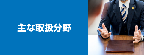 主な取扱分野